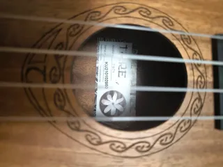 Ukelele marrón con funda y accesorios