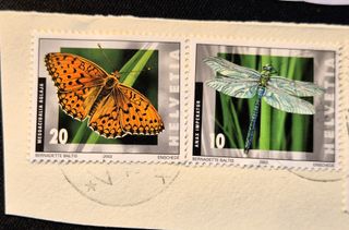 175. Lotto 33 francobolli svizzeri anni 2000