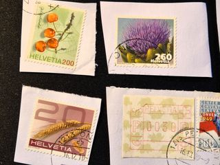 175. Lotto 33 francobolli svizzeri anni 2000