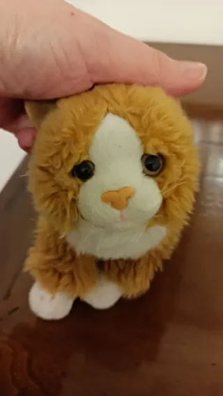 Gattino peluche marroncino e bianco