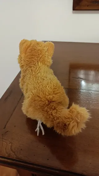 Gattino peluche marroncino e bianco