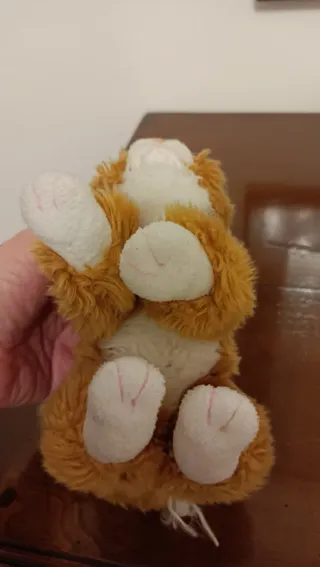 Gattino peluche marroncino e bianco