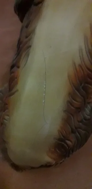 Perro de cerámica antiguo