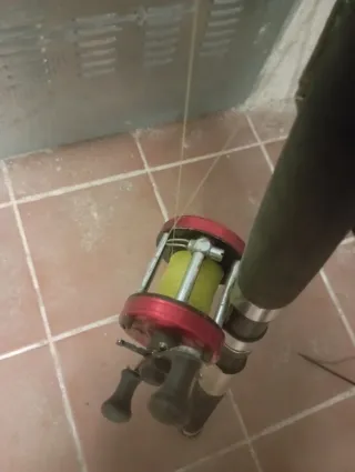 Lote cañas y carretes pesca