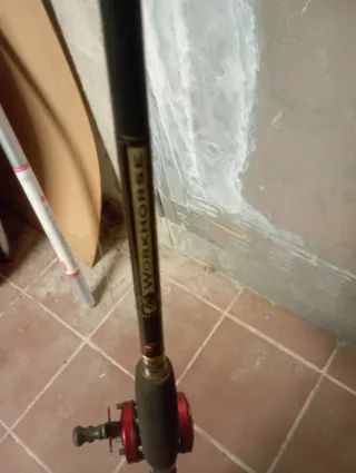 Lote cañas y carretes pesca