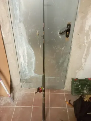 Lote cañas y carretes pesca