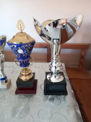 Lote de Trofeos y Copas 5€ unidad lote 20€