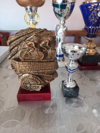 Lote de Trofeos y Copas 5€ unidad lote 20€