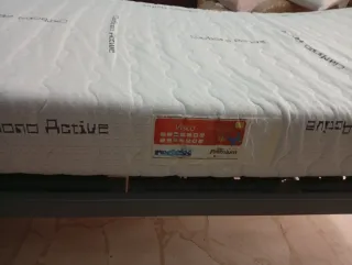 Cama articulada con colchón antiescaras
