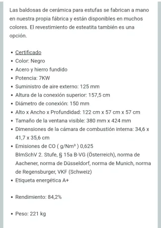 Estufa leña con horno pizza