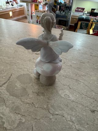 Fatina su fungo Morena