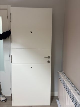 Puerta blindada de seguridad