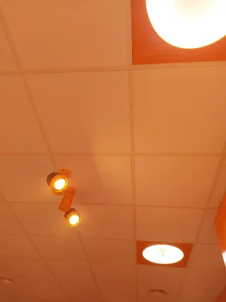 2 Focos LED "luzco " Jamoneros