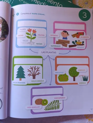 CONOCIMIENTO DEL MEDIO MOCHILA LIGERA 2PRIMARIA...