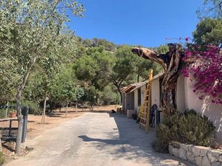 Casa adosada en alquiler en Calvià en Calvià