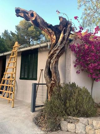 Casa adosada en alquiler en Calvià en Calvià