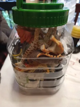 Lote animales de juguete