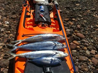 Kayak pesca OCEAN KAYAK PROWLER ULTRA 4,7