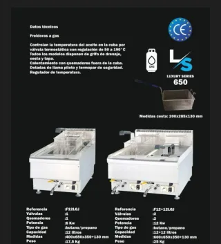 Freidora Industrial Gas 12+12 L