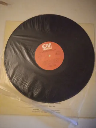 Vinilo LP Aires Mallorquins - Jota Pagesa