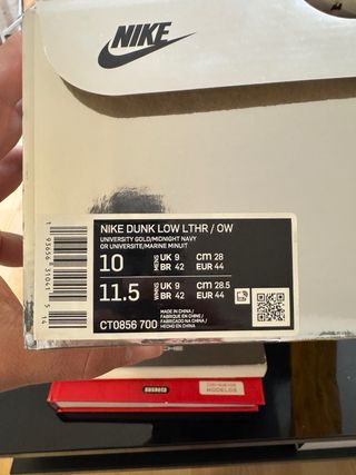 Off White Dunk Michigan Nike