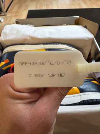Off White Dunk Michigan Nike