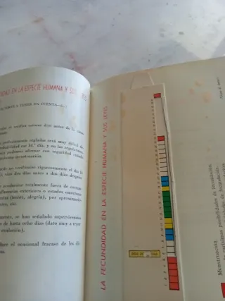 La madre y el niño y el nuevo consejero medico