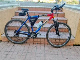 Bicicleta de montaña