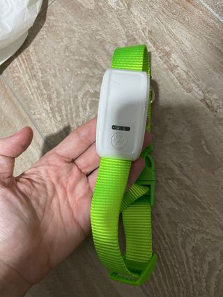 Collar localizador perro