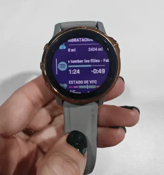 Garmin Fenix 6S Sapphire Oro/Gris