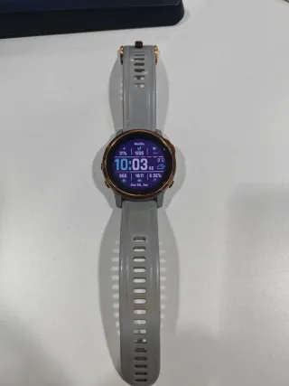 Garmin Fenix 6S Sapphire Oro/Gris