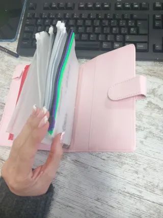 Carpeta de ahorro rosa