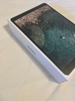 iPad Pro 10.5 256GB Space Gray