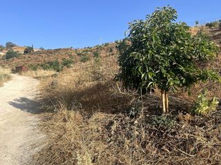 Terreno en venta en Alhaurín el Grande