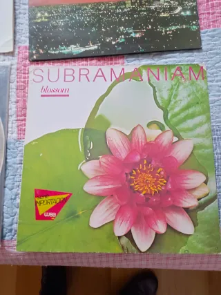 Lote 6 Vinilos Jazz: Earl Klugh, Sinatra, etc.