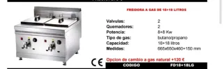 Freidora Industrial 15+15 L
