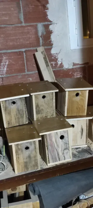 Cajas nido per uccelli, 8€ ciascuna.