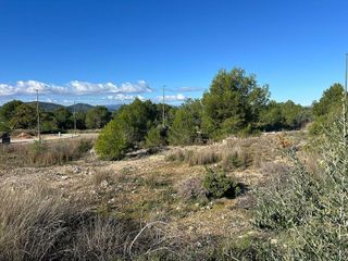 Terreno en venta en Riba-roja de Túria