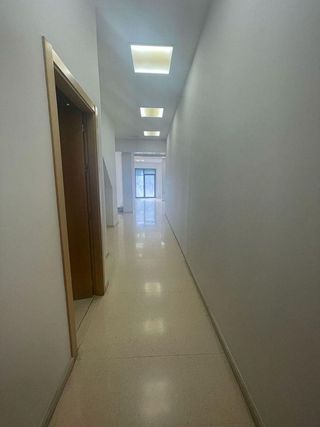 Local comercial en alquiler en El Pla de Sant Josep - L'Asil en Elche