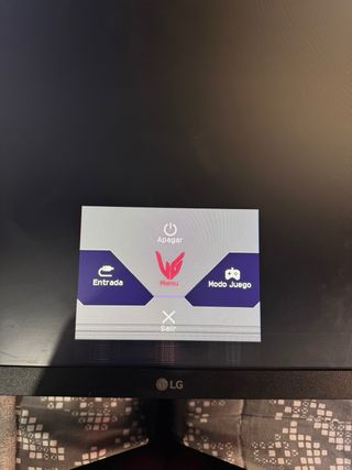 Monitor LG Ultragear