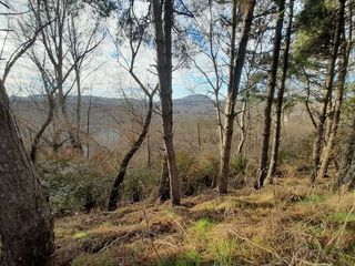 Terreno en venta en Antigua Estación FFCC - San Agustín en Burgos