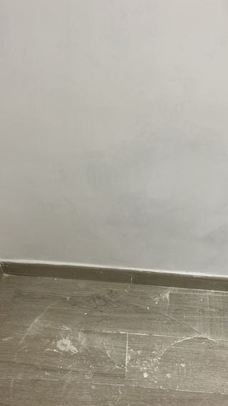 Pintor profesional y limpio.