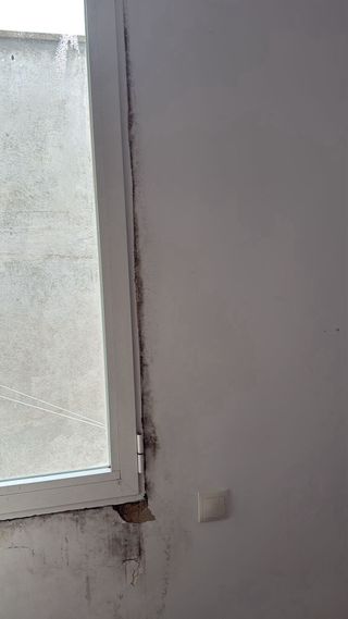 Pintor profesional y limpio.