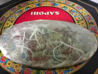 Piattino decorato con gufi natalizi.