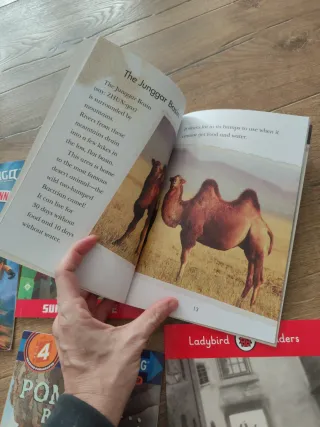 Libros nivel 2, 4 y 6 de Young readers. Minecraft