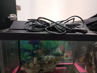 Acuario con filtro , luz y decoración.