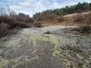Terreno en venta en Antigua Estación FFCC - San Agustín en Burgos