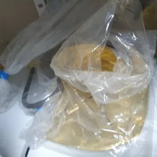 carruajes carros coches de caballo maraton