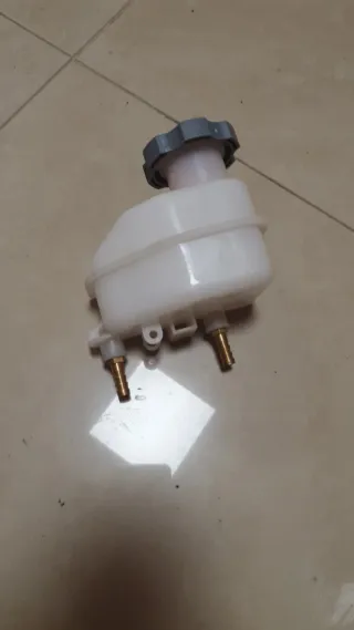 carruajes carros coches de caballo maraton