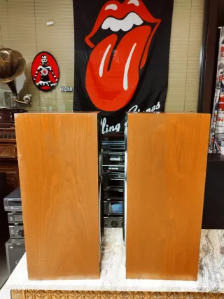 Altavoces VINTAGE Sony SS-2070